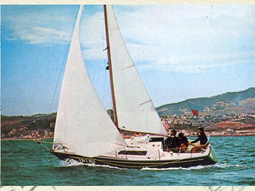 puma 24 puma 24