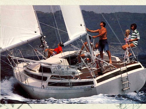 Evasion 37