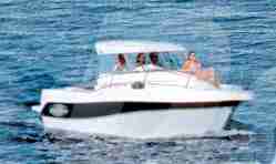 Delfyn 707 Spirit