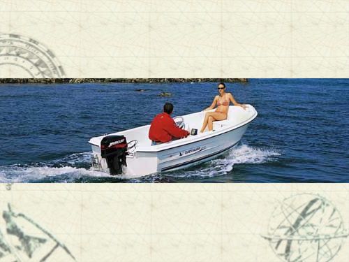 Quicksilver 360 Fish
