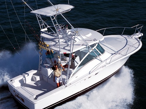 Luhrs 32 Open