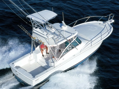 Luhrs 36 Open