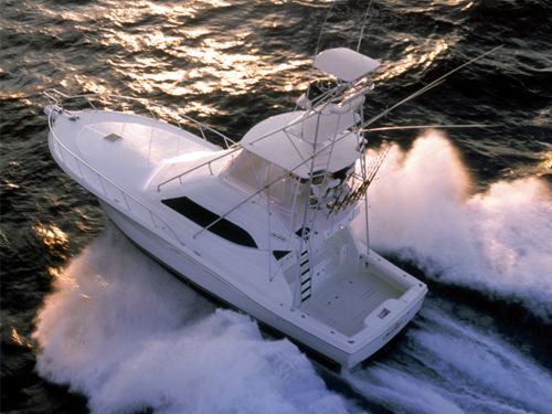 Rampage 45 Convertible