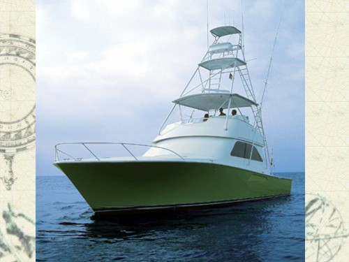 Viking 52 Convertible