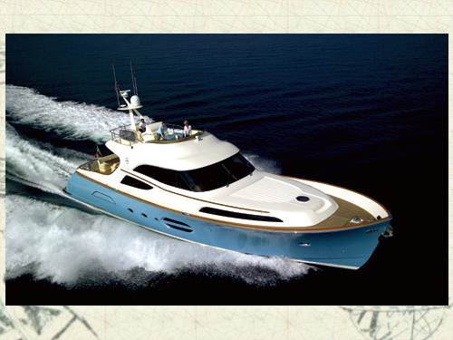 Dolphin 74