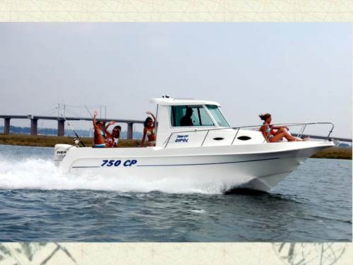 Dipol 750 CP Patronera