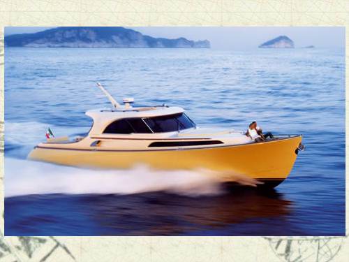 Dolphin 51