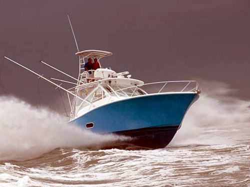 Luhrs 37