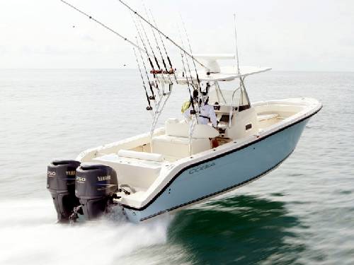 Cobia 296 CC