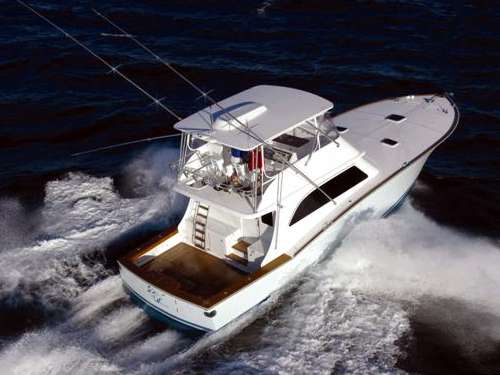 Vicem 57 Sportfish