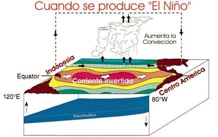 El fenómeno de El Niño ¿Qué es y cómo se produce? 